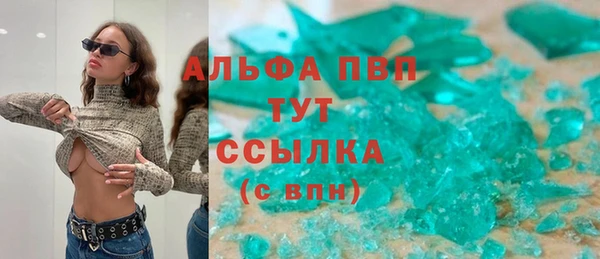 ПСИЛОЦИБИНОВЫЕ ГРИБЫ Вязьма